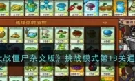 《植物大战僵尸杂交版》挑战模式第18关通关攻略