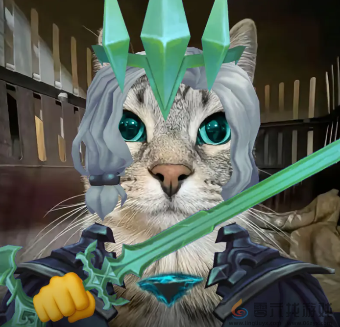 严肃猫表情包大全(图11) 严肃猫表情包大全(图11)